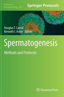 Spermiogenesis and Spermatogenesis