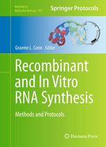 Recombinant and in Vitro RNA Synthesis