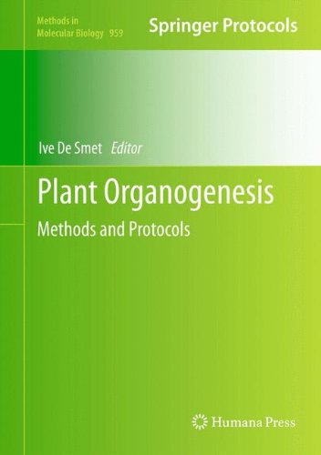 Plant Organogenesis