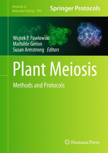 Plant Meiosis