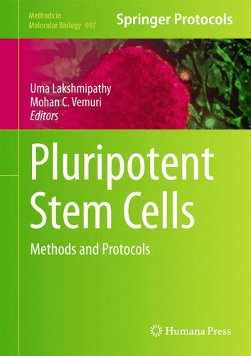 Pluripotent Stem Cells