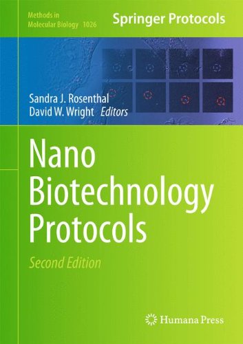 Nanobiotechnology Protocols