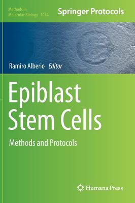 Epiblast Stem Cells