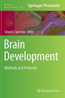 Brain Development