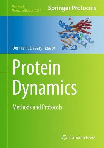 Protein Dynamics