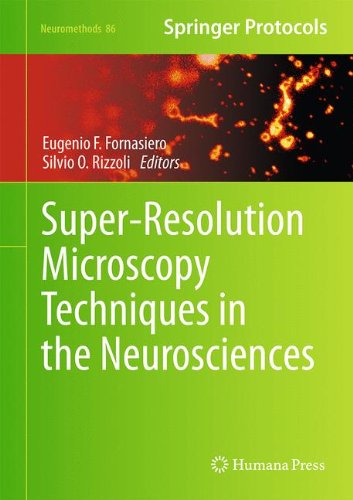 Super-Resolution Microscopy Techniques in the Neurosciences