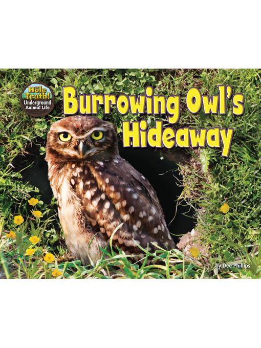 Burrowing Owl's Hideaway