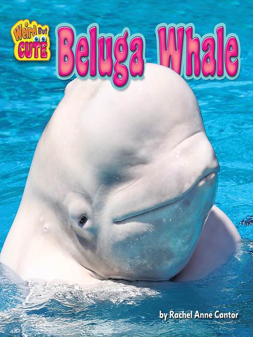 Beluga Whale