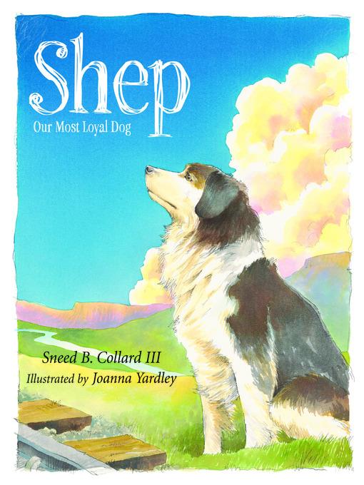 Shep