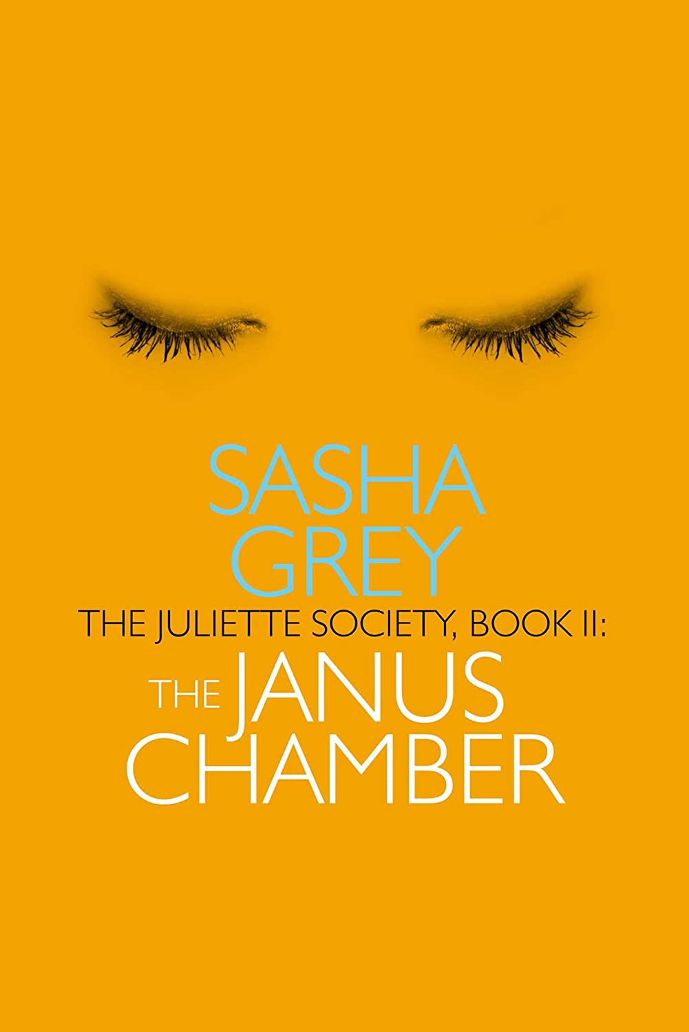 The Janus Chamber