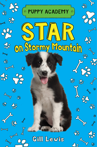 Star on Stormy Mountain