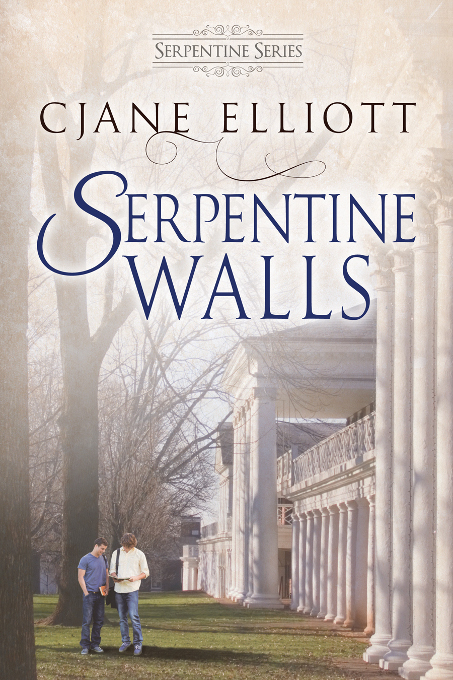 Serpentine Walls