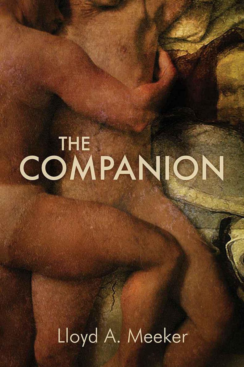 The Companion