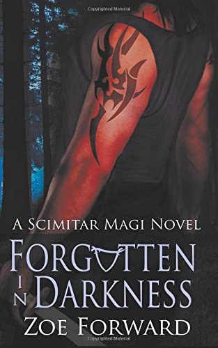 Forgotten in darkness : a scimiter magi novel