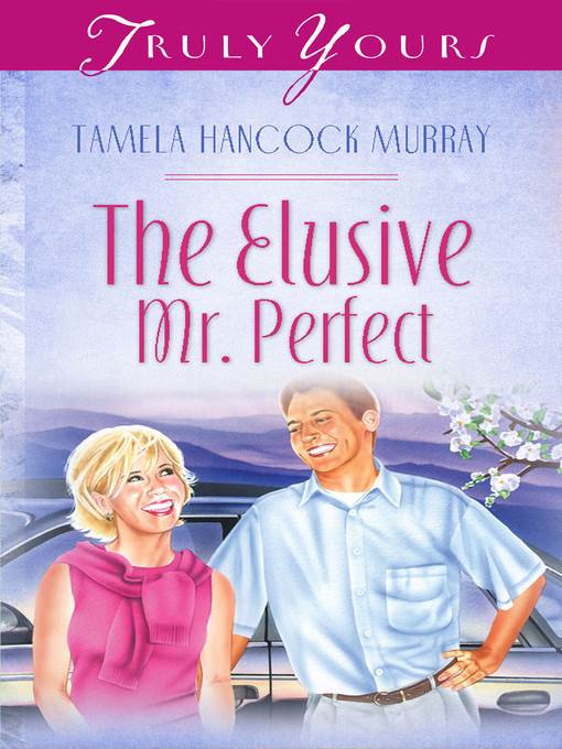 Elusive Mr. Perfect