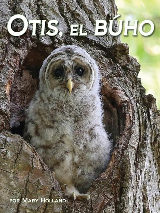 Otis, el búho