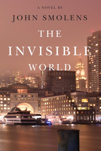 The invisible world : a novel