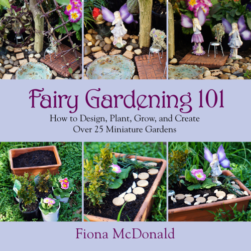 Fairy Gardening 101