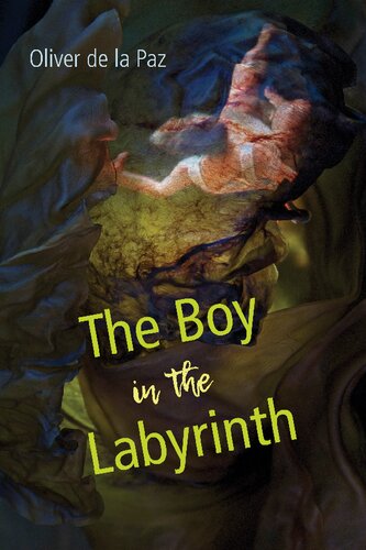 The Boy in the Labyrinth