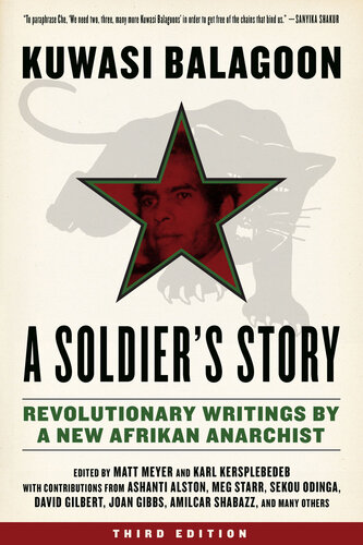 A Soldier's Story