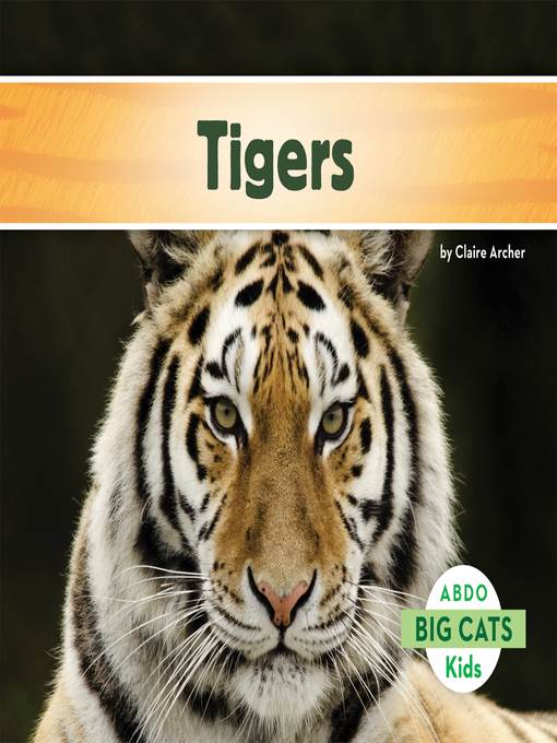 Tigers