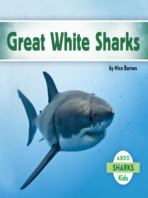 Great White Sharks