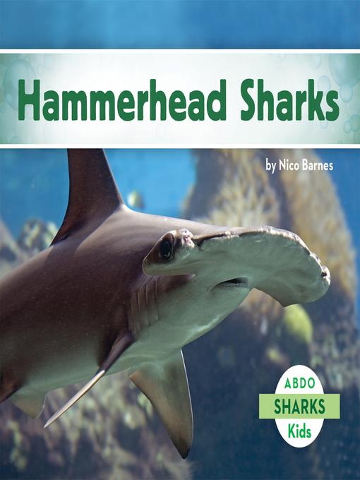 Hammerhead Sharks