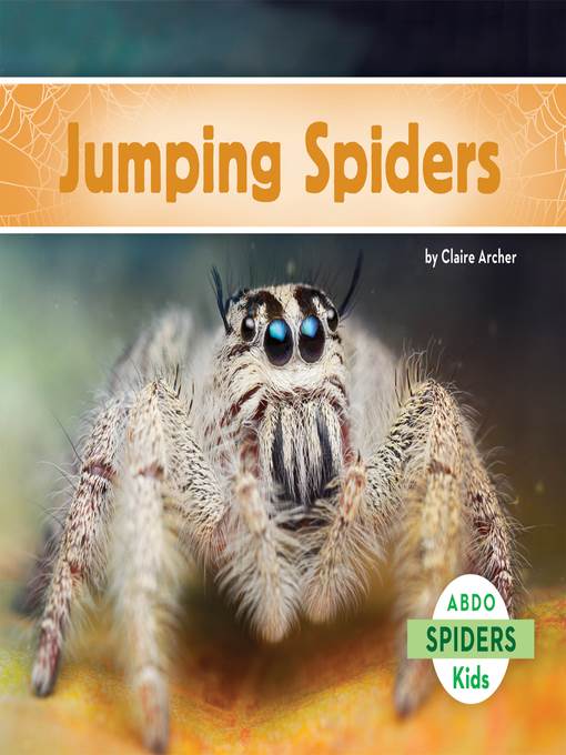 Jumping Spiders