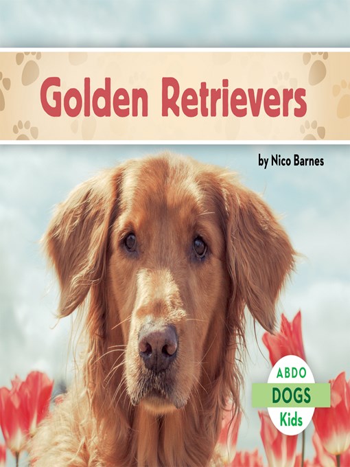 Golden Retrievers