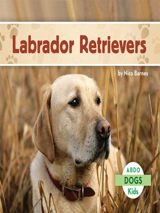 Labrador Retrievers