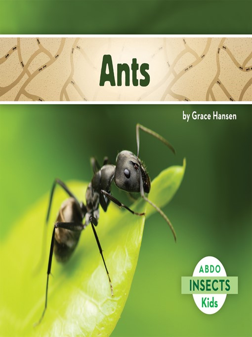 Ants