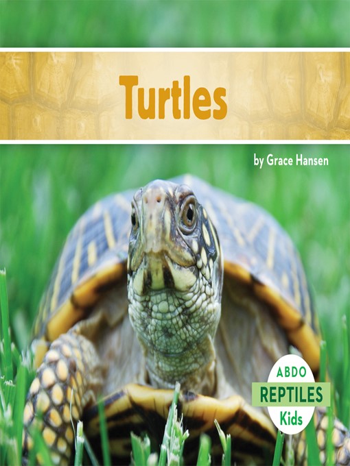 Turtles