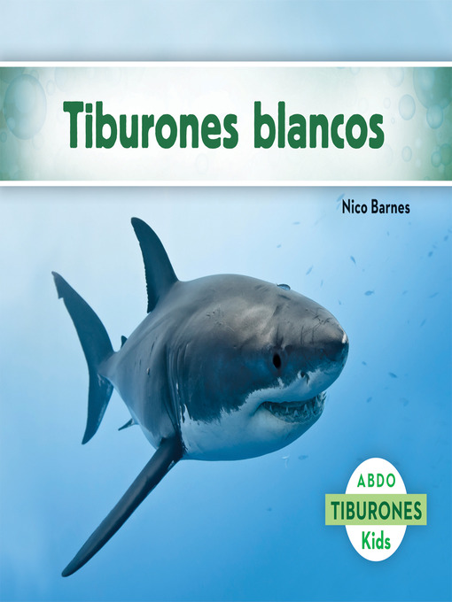 El gran tiburón blanco