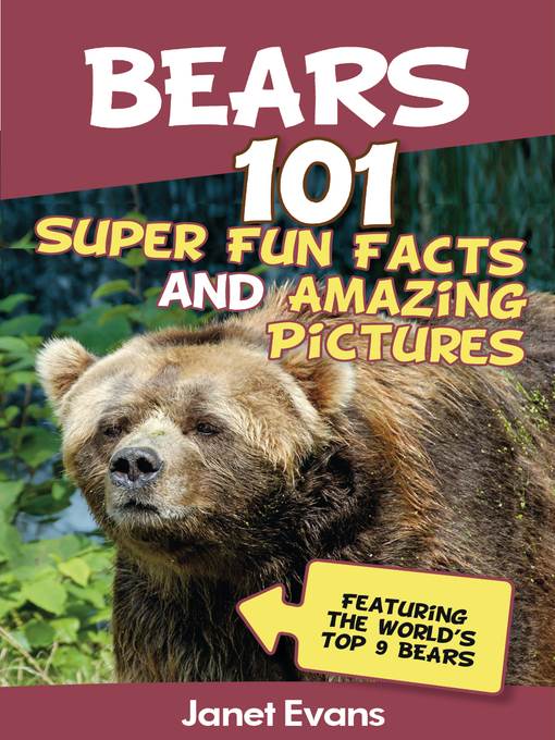 Bears
