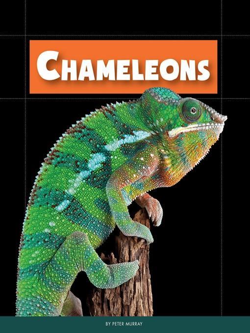 Chameleons