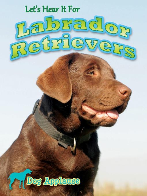 Let's Hear It for Labrador Retrievers