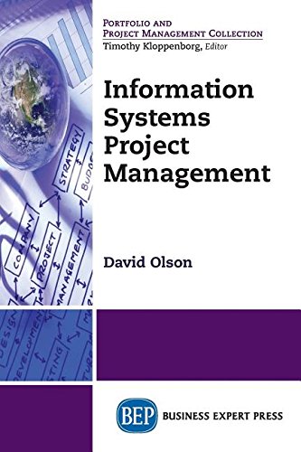 Information systems project management