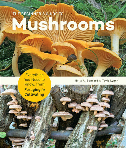 The Beginner's Guide to Mushrooms