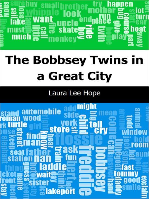 The Bobbsey Twins in a Great City