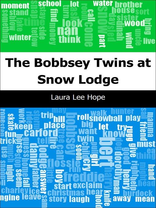 The Bobbsey Twins at Snow Lodge