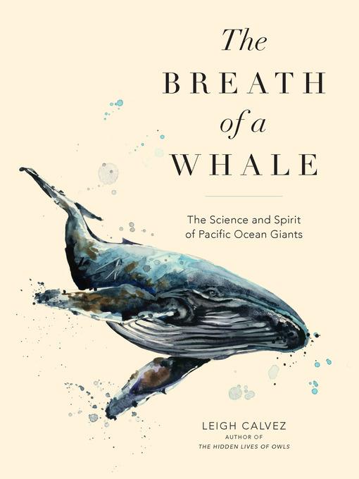 The Breath of a Whale