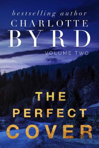 The Perfect Cover (The Perfect Stranger)