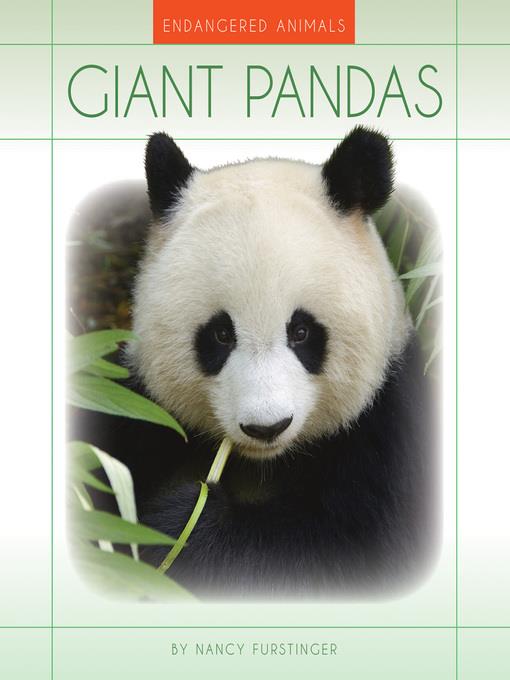 Giant Pandas