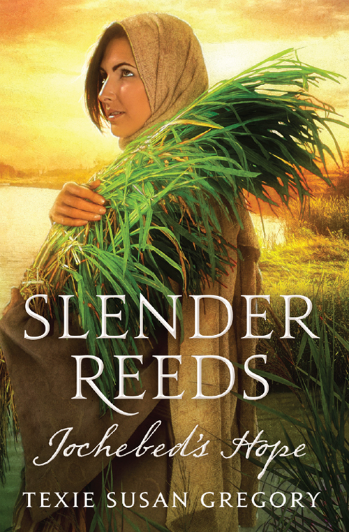 Slender reeds : Jochebed's hope