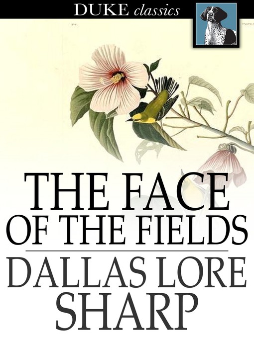 The Face of the Fields