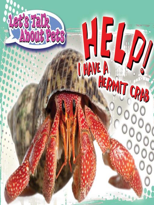 Help! I Have A Hermit Crab