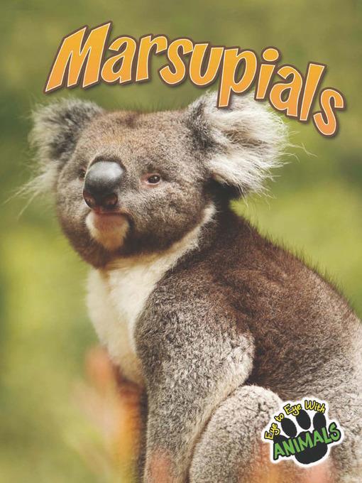 Marsupials