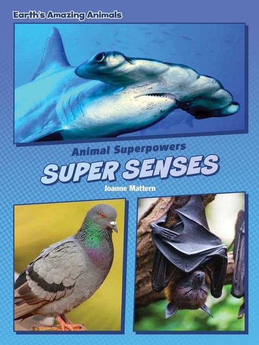 Super Senses