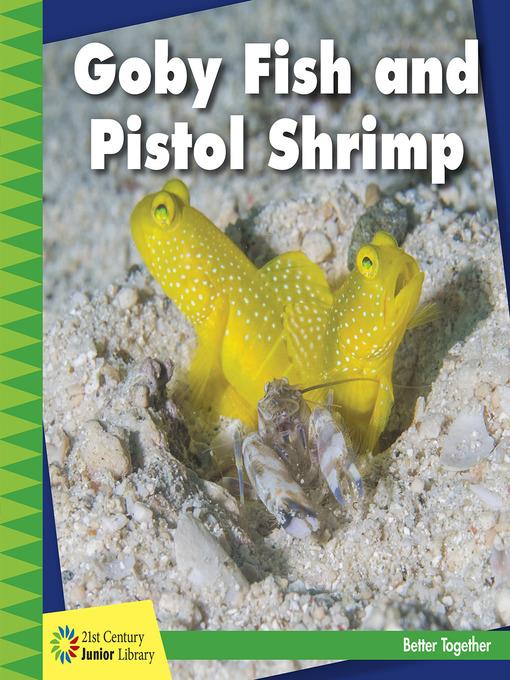 Goby Fish and Pistol Shrimp