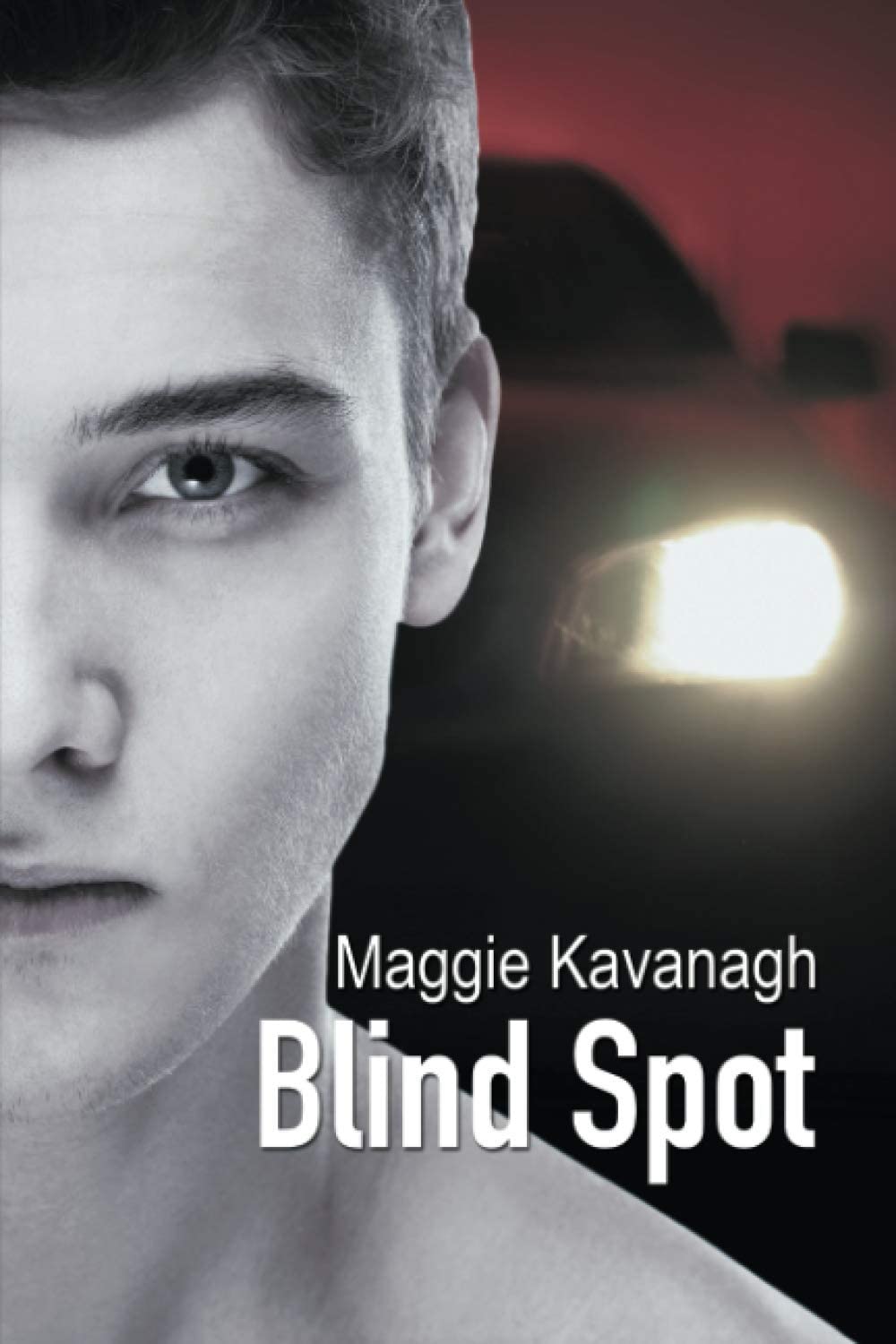 Blind Spot (3) (The Stonebridge Mysteries)